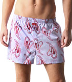 2xist Low Rise Light Blue Paisley Heart Stripe Print Woven Boxer